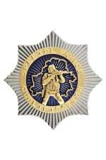 Знак «Special Force Qualification»