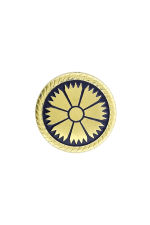 Пуговица большая Белавиа